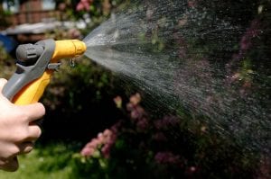 Plumbing Services Ideal for Spring