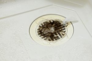 3 Things You Can Do to Prevent Clogged Drains